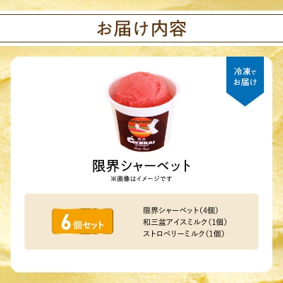 【お歳暮ギフト】限界シャーベット 6個セット〈12月13日～20日内にお届け〉_J06018-O