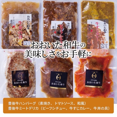 【お歳暮ギフト】大分豊後牛ハンバーグ・ミートデリカセット 約1,080g_A05052-O