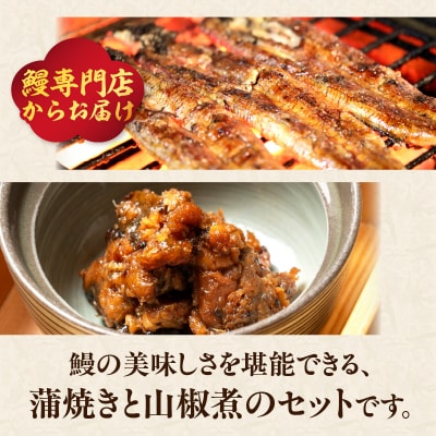 【お歳暮ギフト】うなぎ料理入舟 蒲焼3尾+鰻山椒煮〈12月13日～20日内お届け〉_E07007-O