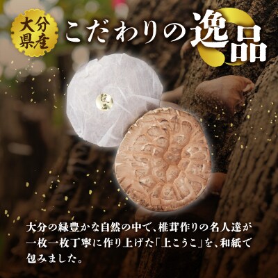 【お歳暮ギフト】大分県産椎茸 香菇 逸品IP-A〈12月13日～20日内にお届け〉_F07016-O