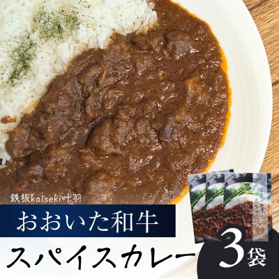 おおいた和牛 スパイスカレー 3袋_K03038