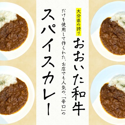 おおいた和牛 スパイスカレー 3袋_K03038