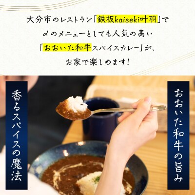 おおいた和牛 スパイスカレー 3袋_K03038