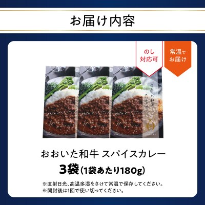 おおいた和牛 スパイスカレー 3袋_K03038