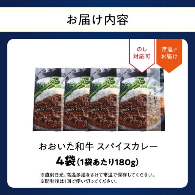 おおいた和牛 スパイスカレー 4袋_K03039