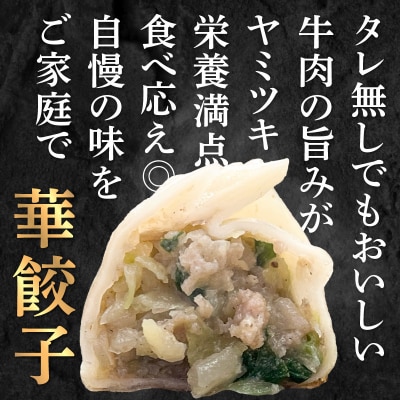 華永餃子セットD(華×2、かぼす×1) 計34個_A07007