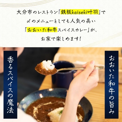 おおいた和牛 スパイスカレー 2袋_K03037