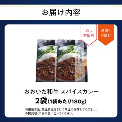 おおいた和牛 スパイスカレー 2袋_K03037