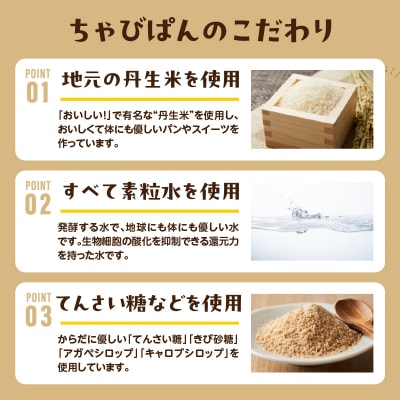 グルテンフリーの米粉パン 人気総菜パン 13個セット_B06012