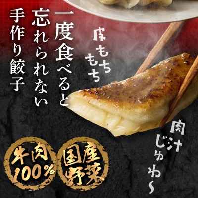 華永餃子セットF(かぼす×2、一口×1、華々×1) 計62個_A07008