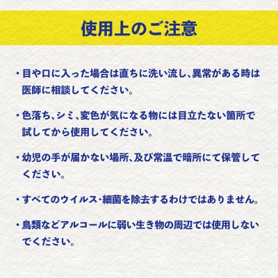 スキルチタンNeo300ml(プロ仕様の抗菌・抗ウイルス・除菌・消臭・防カビ剤)_R17022