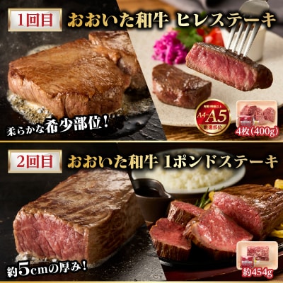 【隔月配送】【おおいた和牛堪能】隔月4回お届け定期便_T10098
