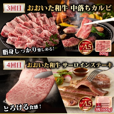 【隔月配送】【おおいた和牛堪能】隔月4回お届け定期便_T10098