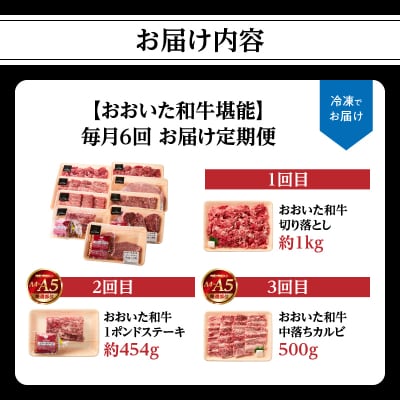 【毎月配送】【おおいた和牛堪能】毎月6回お届け定期便_T10099