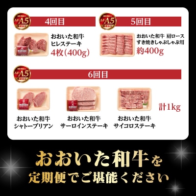 【毎月配送】【おおいた和牛堪能】毎月6回お届け定期便_T10099