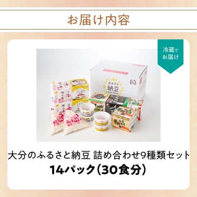 大分のふるさと納豆 詰め合わせ9種類セット_K05005
