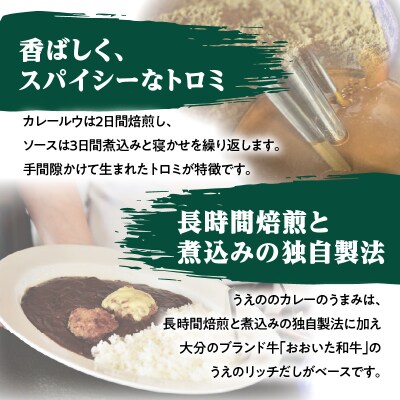 九州クラフト うえの焙煎ビーフカレー 冷蔵 3袋_K03040