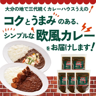 九州クラフト うえの焙煎ビーフカレー 冷蔵 5袋_K03041