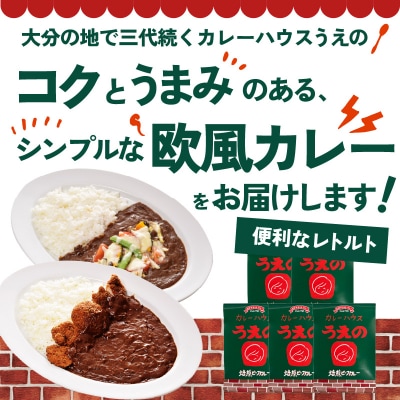 九州クラフト うえの焙煎ビーフカレー レトルト 5袋_K03043