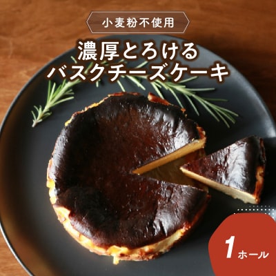 【母の日ギフト】濃厚とろけるバスクチーズケーキ 小麦粉不使用≪5月10日お届け≫_J02004-H