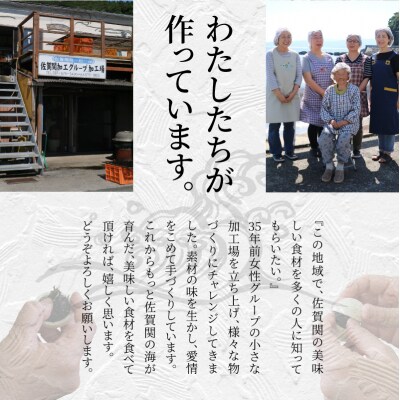 関の茶漬けセット(4種類入り)_E22026