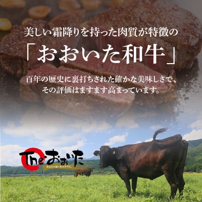 【父の日ギフト】百年の恵み おおいた和牛A5 ステーキ用厚切【厳選部位】約600g_A01104-C