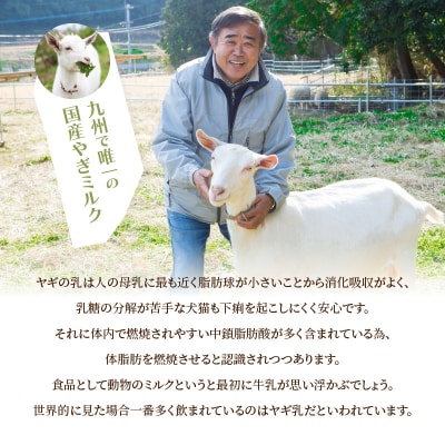 【父の日ギフト】 ヤギミルクアイスクリーム 6個セット ≪6月21日お届け≫_J06014-C