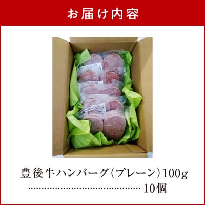 【父の日ギフト】 豊後牛ハンバーグ(プレーン) 10個セット ≪6月21日お届け≫_A05064-C