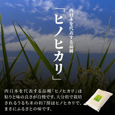 大分ヒノヒカリ 3kg_B01010