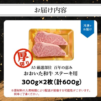 【お中元ギフト】百年の恵み おおいた和牛A5 ステーキ用厚切【厳選部位】約600g_A01104-S