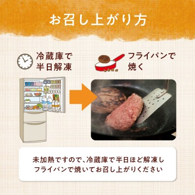 【お中元ギフト】豊後牛ハンバーグ 10個セット≪7/1～8/9の期間に発送≫_A05064-S