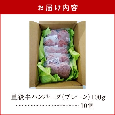 【お中元ギフト】豊後牛ハンバーグ 10個セット≪7/1～8/9の期間に発送≫_A05064-S
