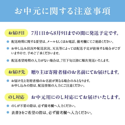 【お中元ギフト】自然の幸 佐賀関味グルメ Aセット≪7/1～8/9の期間に発送≫_E22018-S