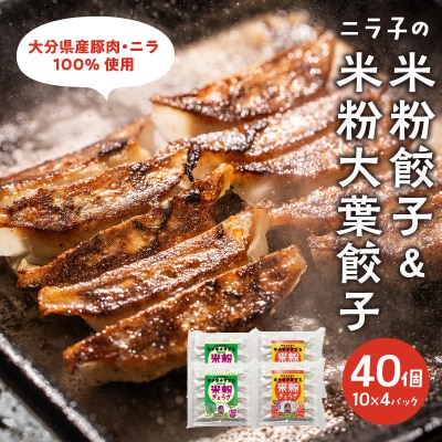 大分特産!グルテンフリーのニラと大葉の米粉餃子_A02038
