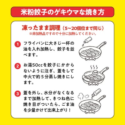 大分特産!グルテンフリーのニラと大葉の米粉餃子_A02038