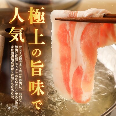 【敬老の日ギフト】 米の恵み 豚バラセット 約1kg ≪9月21日お届け≫_A02012-K