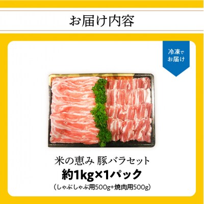 【敬老の日ギフト】 米の恵み 豚バラセット 約1kg ≪9月21日お届け≫_A02012-K