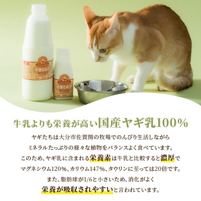 【敬老の日ギフト】ワンちゃん、ネコちゃんの大好きなヤギミルク≪9月21日お届け≫_R14080-K