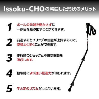 ウォーキングポールIssoku-CHO(1足長)CL(カムレバー式)オールブラック1本_R17029