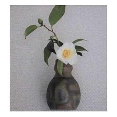 備前焼ひさご型掛花入れ(登り窯)