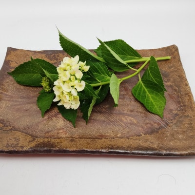 備前焼叩き長方皿(登り窯)
