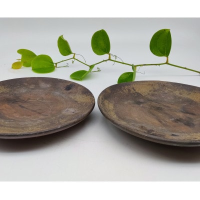 備前焼皿　2枚セット(登り窯)