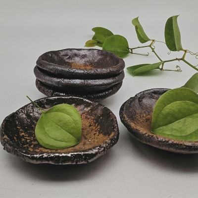 備前焼手びねり小皿5枚セット(登り窯)