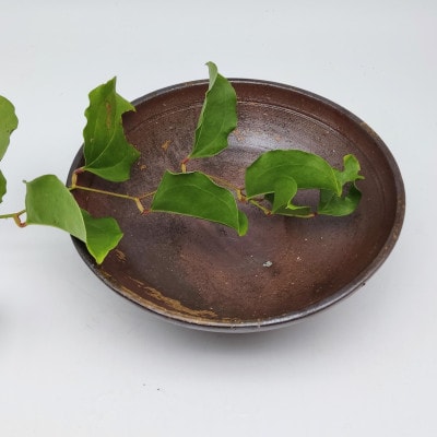 備前焼　鉢(登り窯)