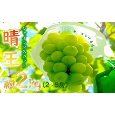 【令和7年産　先行受付】岡山県産シャインマスカット「晴王」(約2kg) 土方商店 2025年発送分