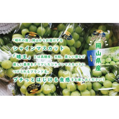【令和7年産　先行受付】岡山県産シャインマスカット「晴王」(約2kg) 土方商店 2025年発送分