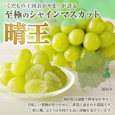 【令和9年産　先行受付】岡山県産シャインマスカット「晴王」(約5kg) 土方商店 2027年発送分