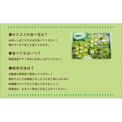 【令和7年産　先行受付】岡山県産シャインマスカット「晴王」(約5kg) 土方商店 2025年発送分