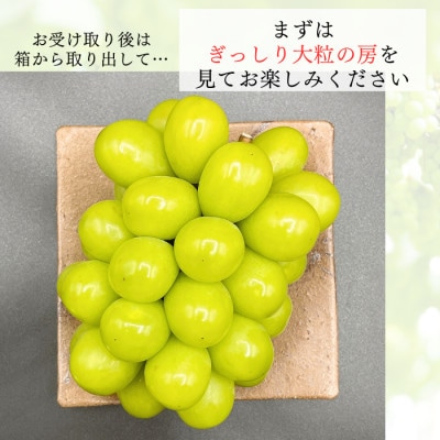 【2024年発送】シャインマスカット 晴王 岡山県産 約2kg 2～5房程度 大房・大粒を厳選