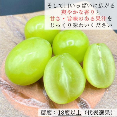 【2024年発送】シャインマスカット 晴王 岡山県産 約2kg 2～5房程度 大房・大粒を厳選